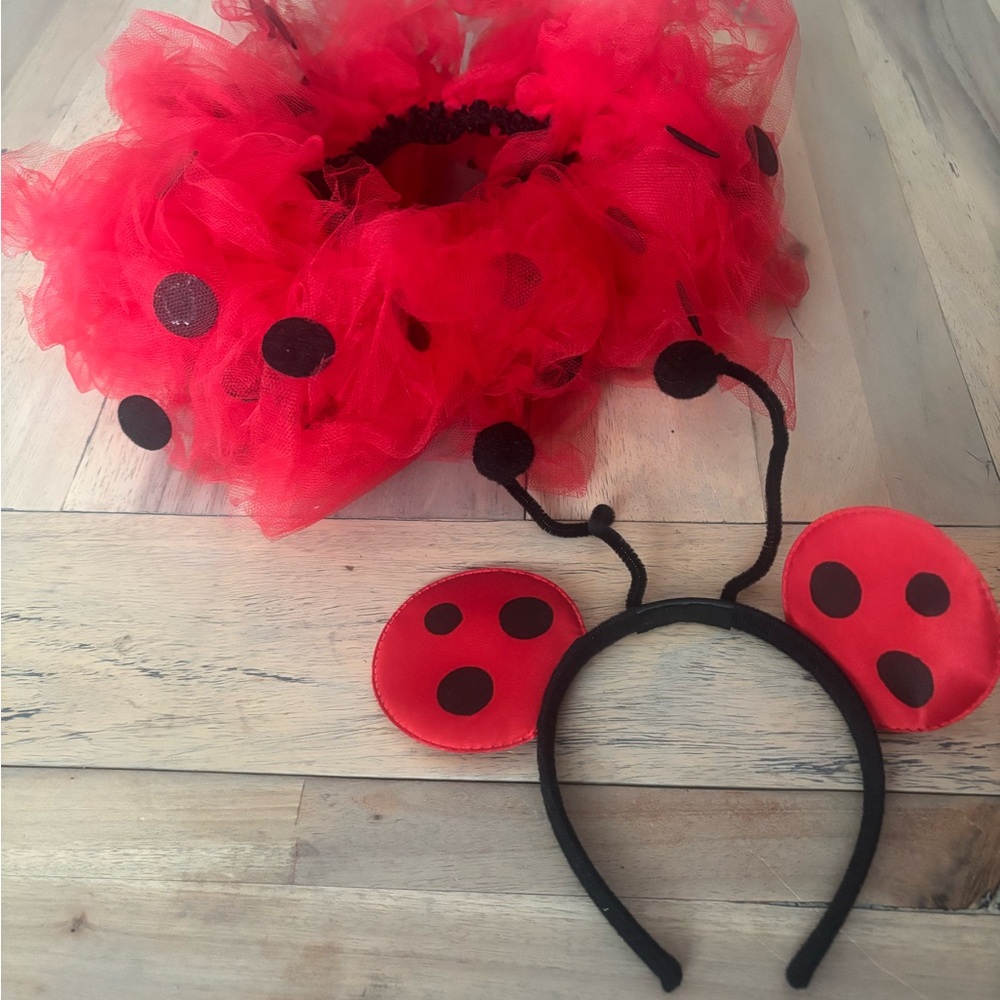 Ladybug Costume Set for Kids